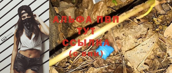 стаф Магадан