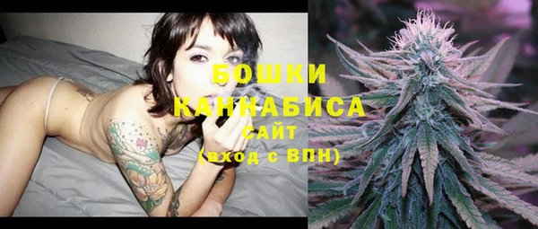стаф Магадан